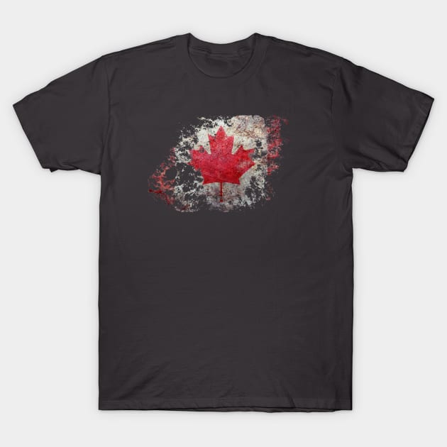 Canada T-Shirt by pasnthroo